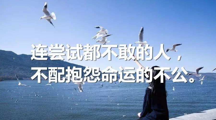 2021年成人高考所能报读的学校