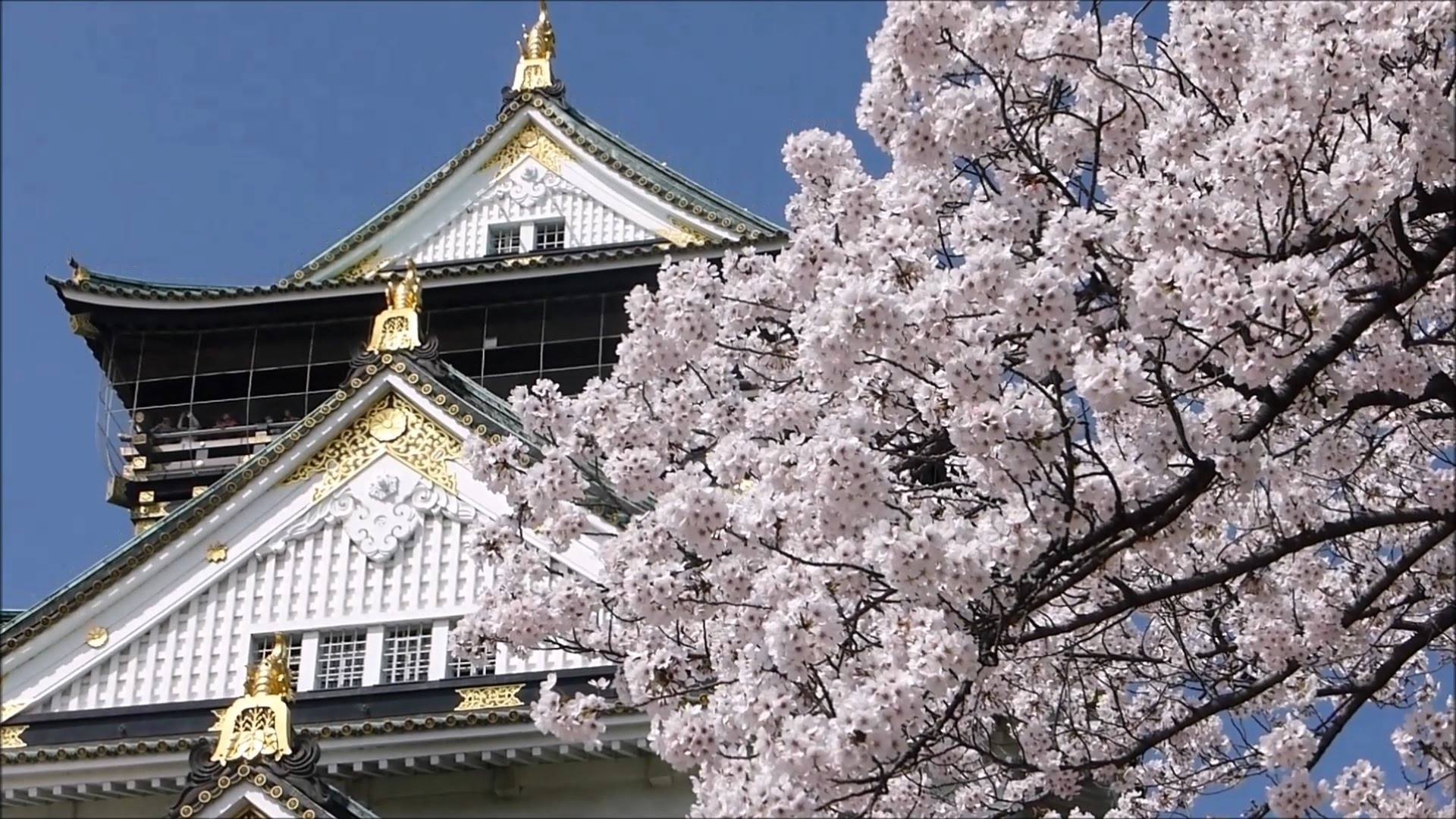 广州 日本出国留学申请项目